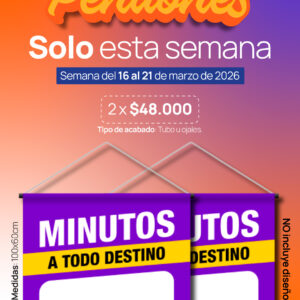 2-pendones-x-48-000-pesos-medida-100x60cm-sin-diseno